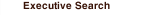 Executive Search